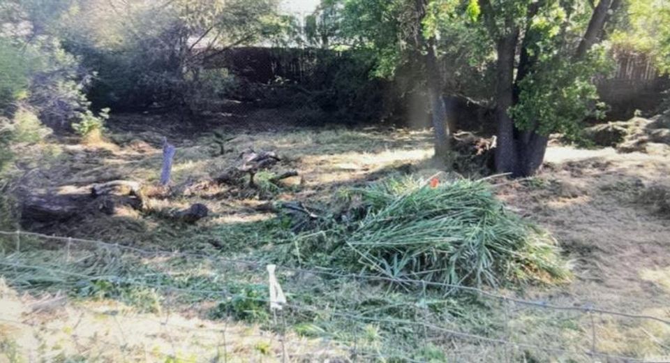 1355 Williamson  Rd, Manteca, CA 95337 Photo