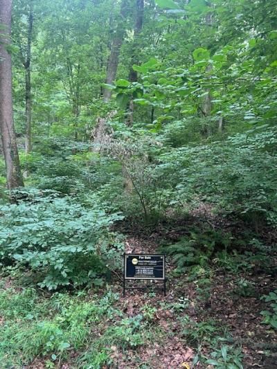 203 Rolling Fork Ct, Nashville, TN 37205 Main Photo