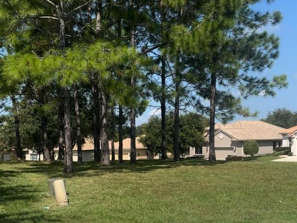 994 W SILVER MEADOW LOOP, HERNANDO, FL 34442