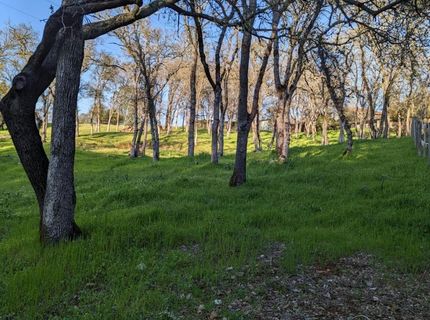 4251 Hensley Cir, El Dorado Hills, CA 95762 Photo