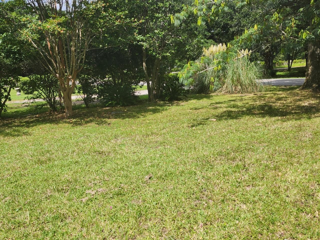 1132 Brownswood Road Photo 5