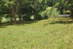 1132 Brownswood Road photo 4