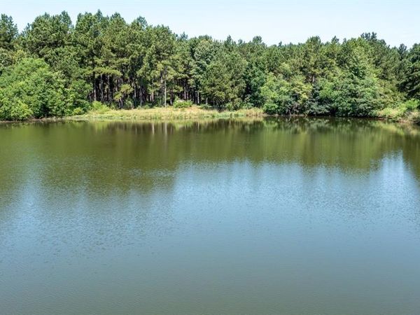 TBD HWY 84, Timpson, TX 75975