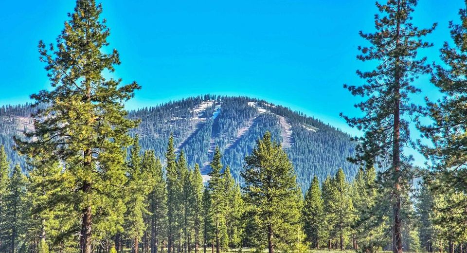 9701 Highway 267, Truckee, CA 96161 Photo