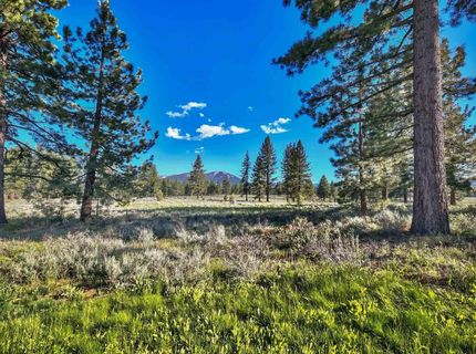 9701 Highway 267, Truckee, CA 96161 Photo