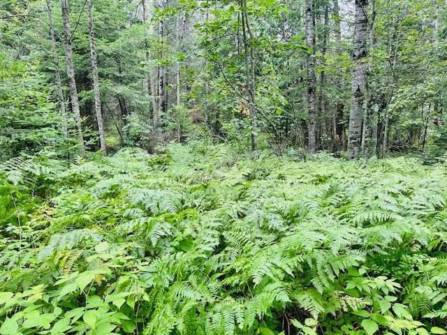 51801 Townhall Road, Squaw Lake, MN 56681 Main Photo