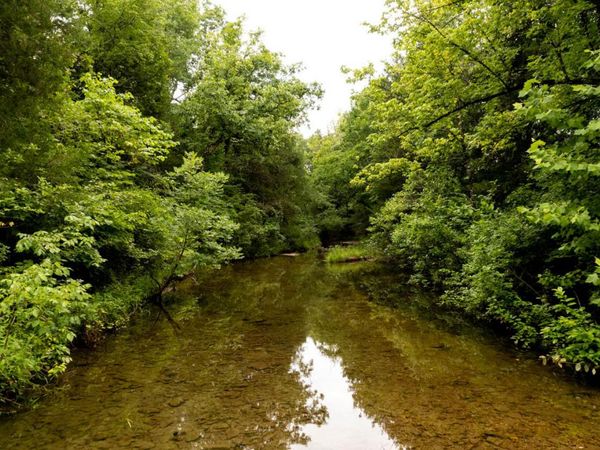 7 Asher Drive, Hardy, AR 72542