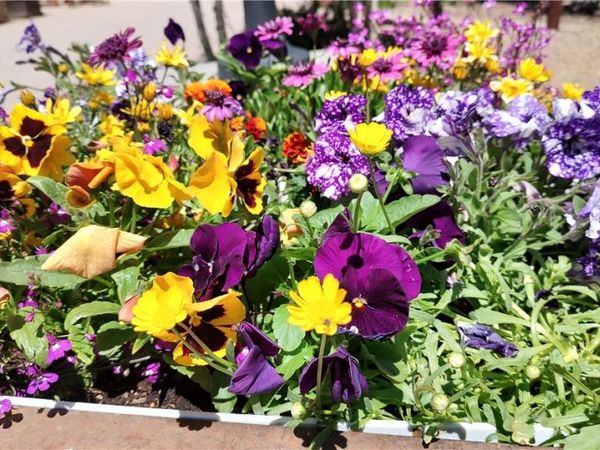 Stoneleigh Lane, Bella Vista, AR 72715