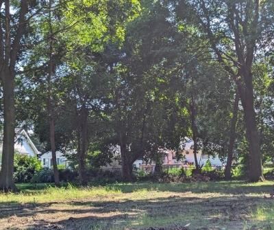 707 Seymour Avenue, Jackson, MI 49202 Main Photo