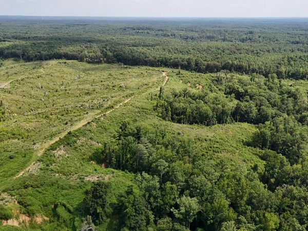 Co Rd 75, Cruger, MS 38924