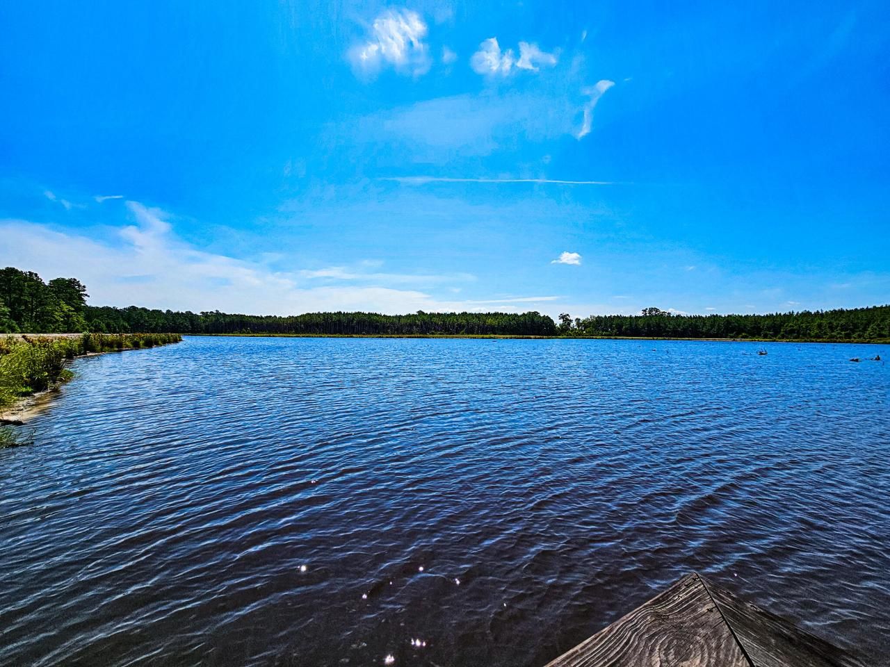 565 Hidden Lake Retreat Photo 13