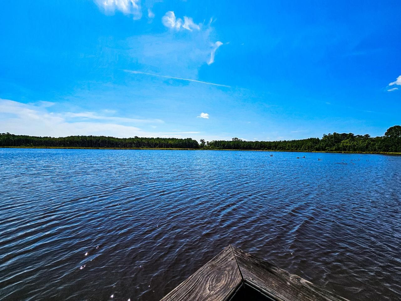 565 Hidden Lake Retreat Photo 14