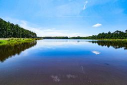 565 Hidden Lake Retreat photo 4