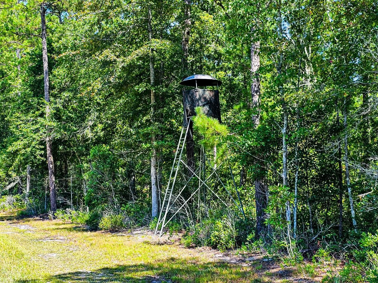 565 Hidden Lake Retreat Photo 31