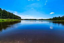 565 Hidden Lake Retreat photo 4