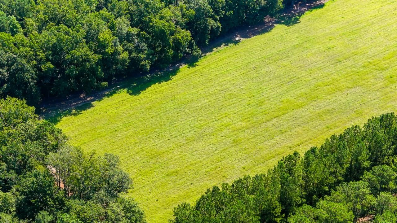 565 Hidden Lake Retreat Photo 42