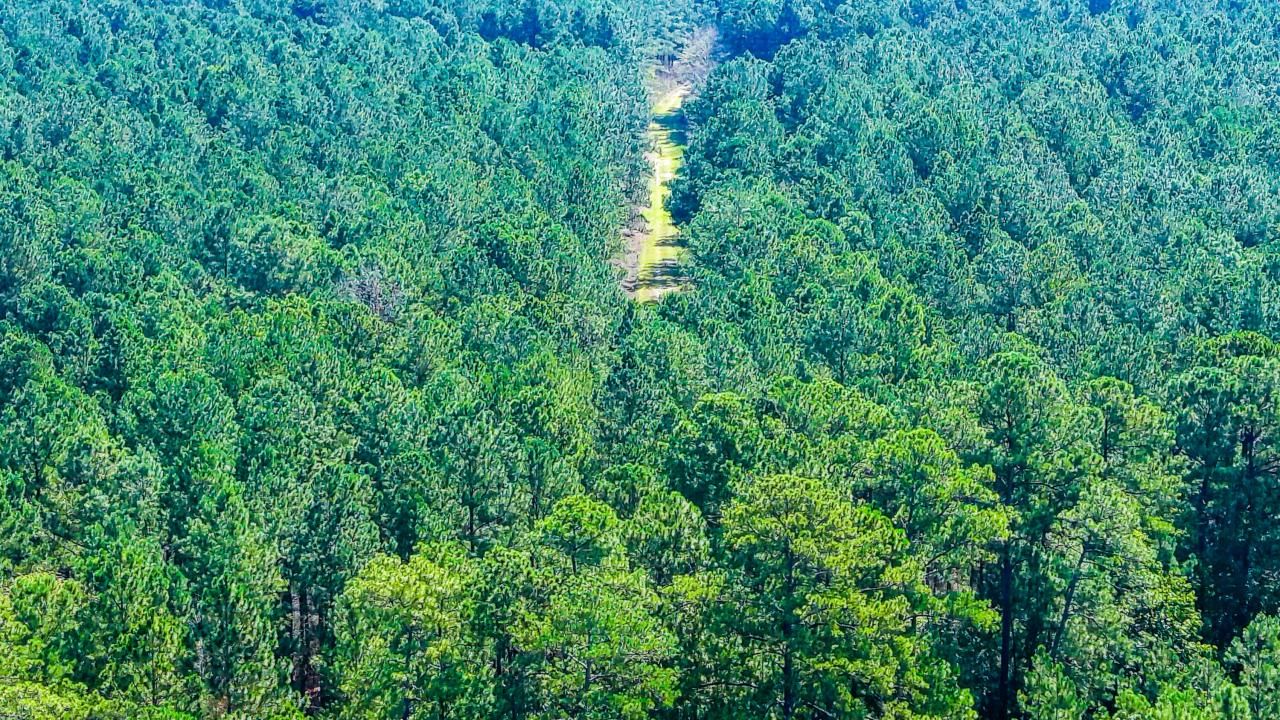 565 Hidden Lake Retreat Photo 44