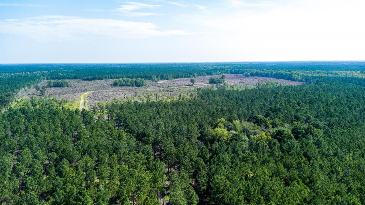 565 Hidden Lake Retreat Photo 45