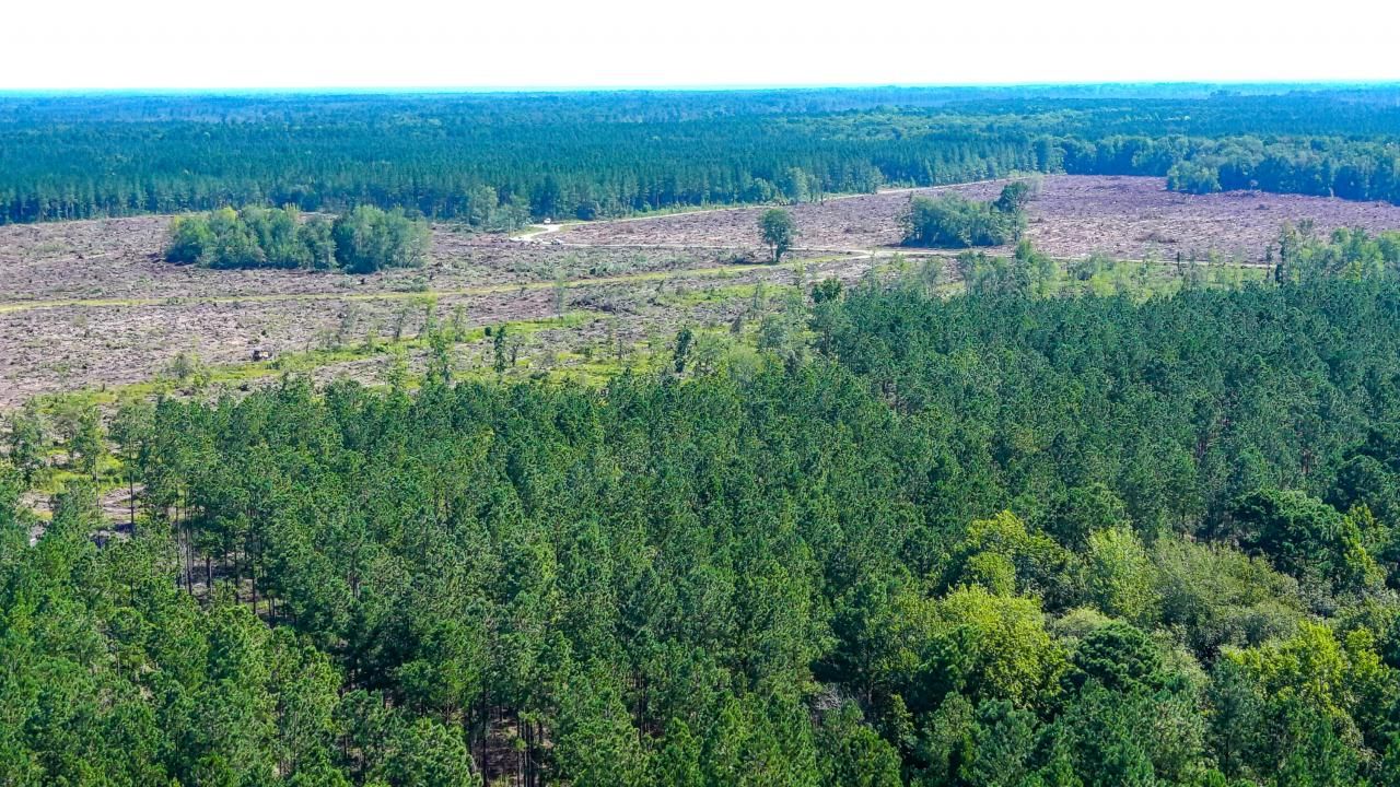 565 Hidden Lake Retreat Photo 46