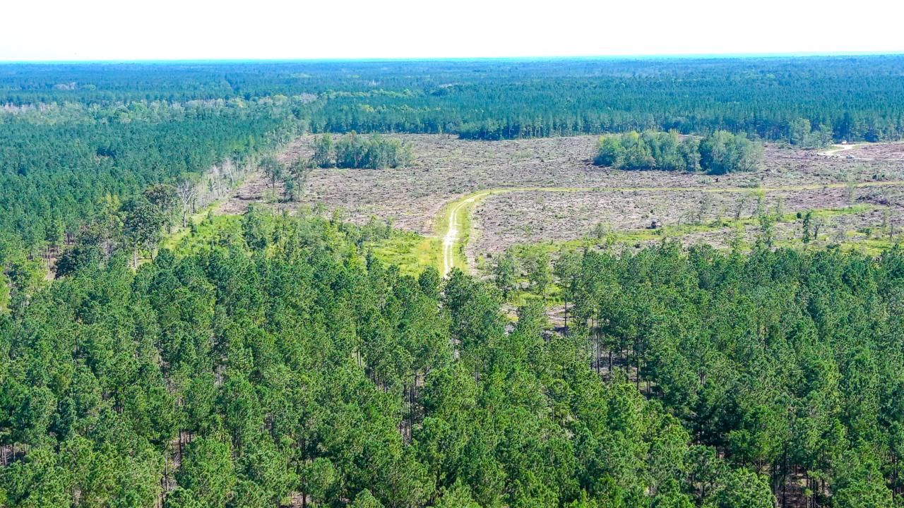 565 Hidden Lake Retreat Photo 47