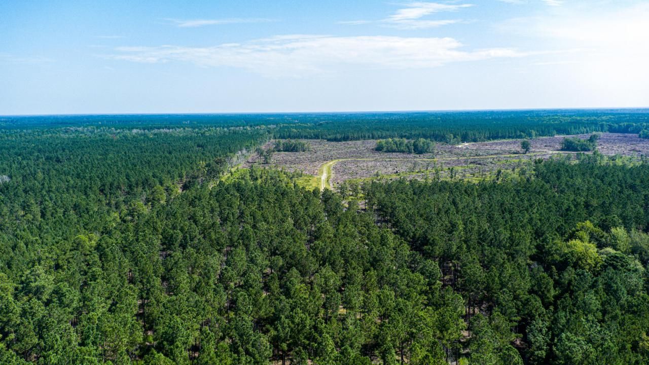 565 Hidden Lake Retreat Photo 48