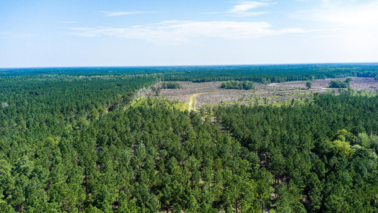 565 Hidden Lake Retreat Photo 49