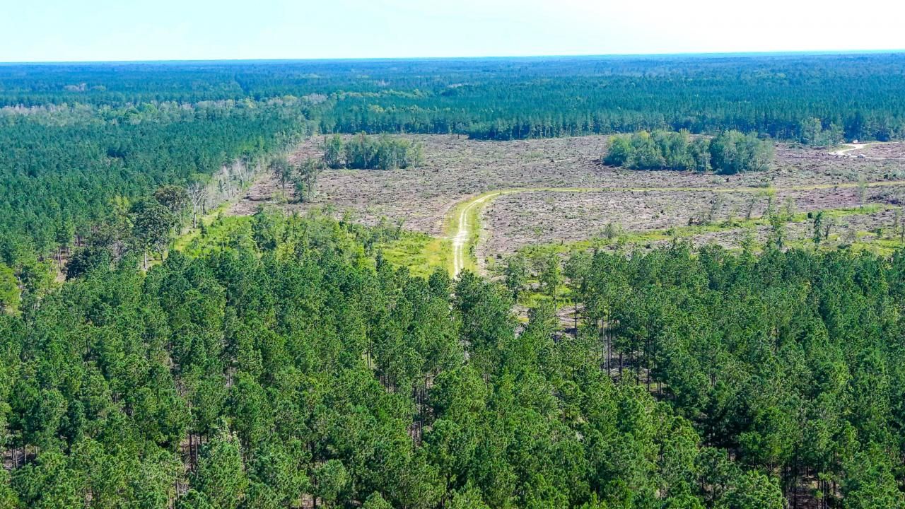 565 Hidden Lake Retreat Photo 50