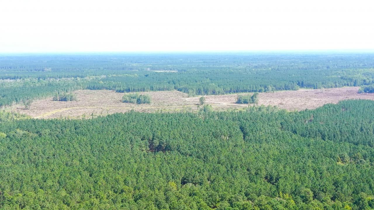 565 Hidden Lake Retreat Photo 51