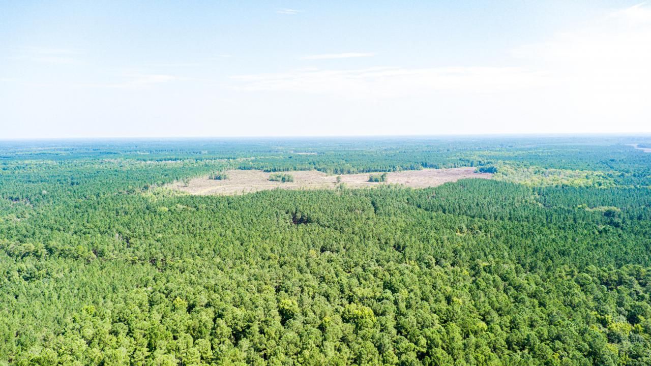 565 Hidden Lake Retreat Photo 52