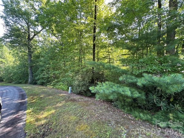 67 Peppervine Circle, Rosman, NC 28772