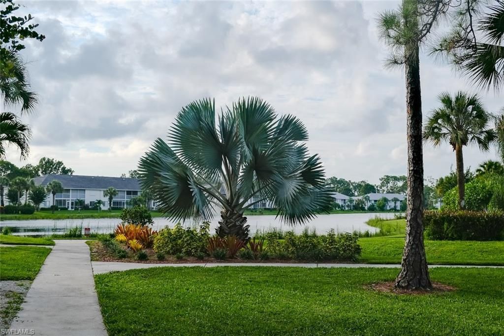 345 Gabriel Cir, Unit 2411, Naples, FL 34104 Photo