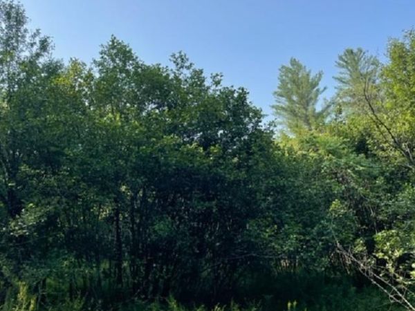 TBD Strawberry Hill Road, Fletcher, VT 05464