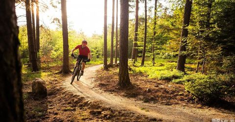 233 Walton Toll Road, Carson City, NV 89705 Photo