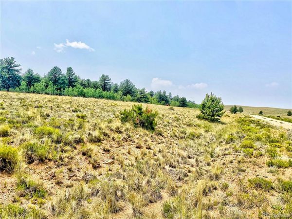 887 Superstition Trail, Hartsel, CO 80449