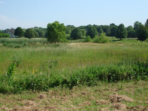 15816 Cardinal Drive, Huntley, IL 60142