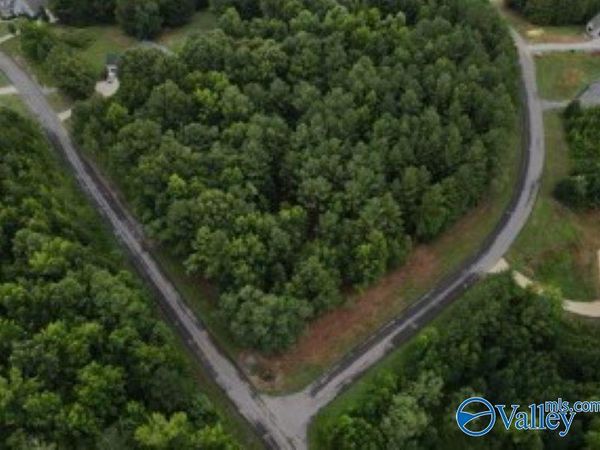 2485 Lookout Mountain Drive, Scottsboro, AL 35769