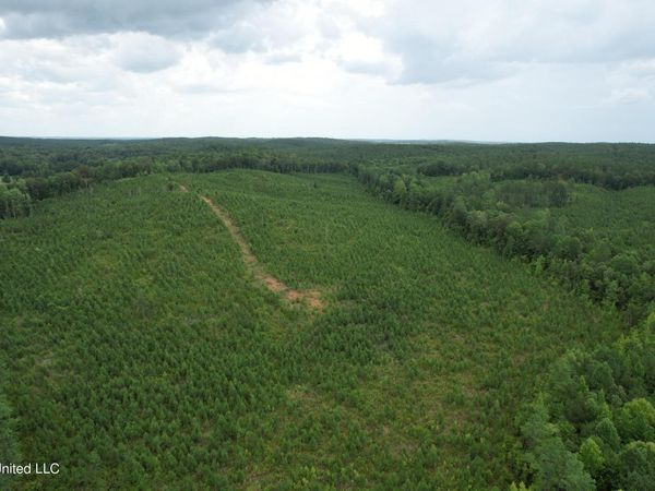 County Road 481, Paris, MS 38949