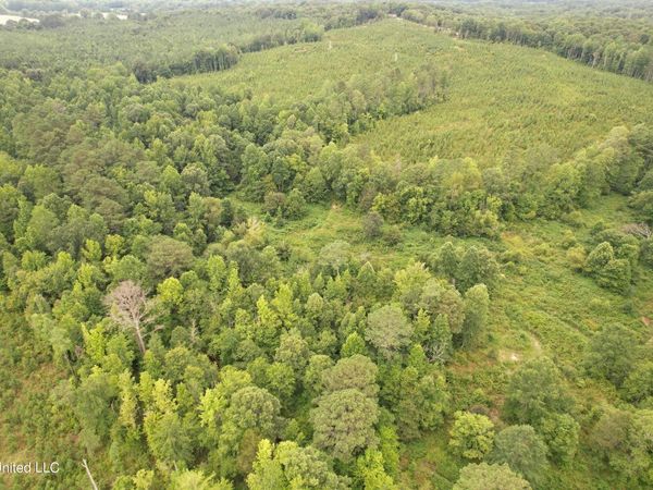 County Road 428, Paris, MS 38949