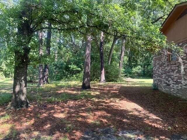 8 Taylor Street Photo 26