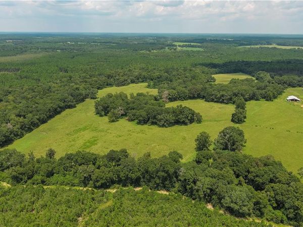 0 Circle R Farm Drive, Florala, AL 36442