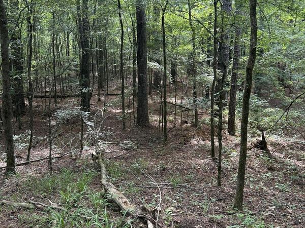 West Boulevard, West, MS 39192