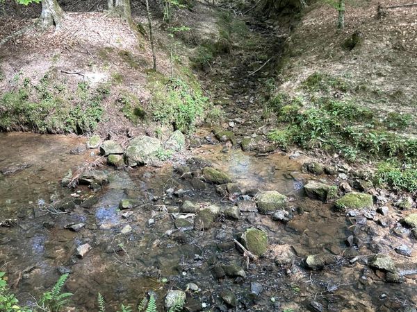 West Boulevard, West, MS 39192