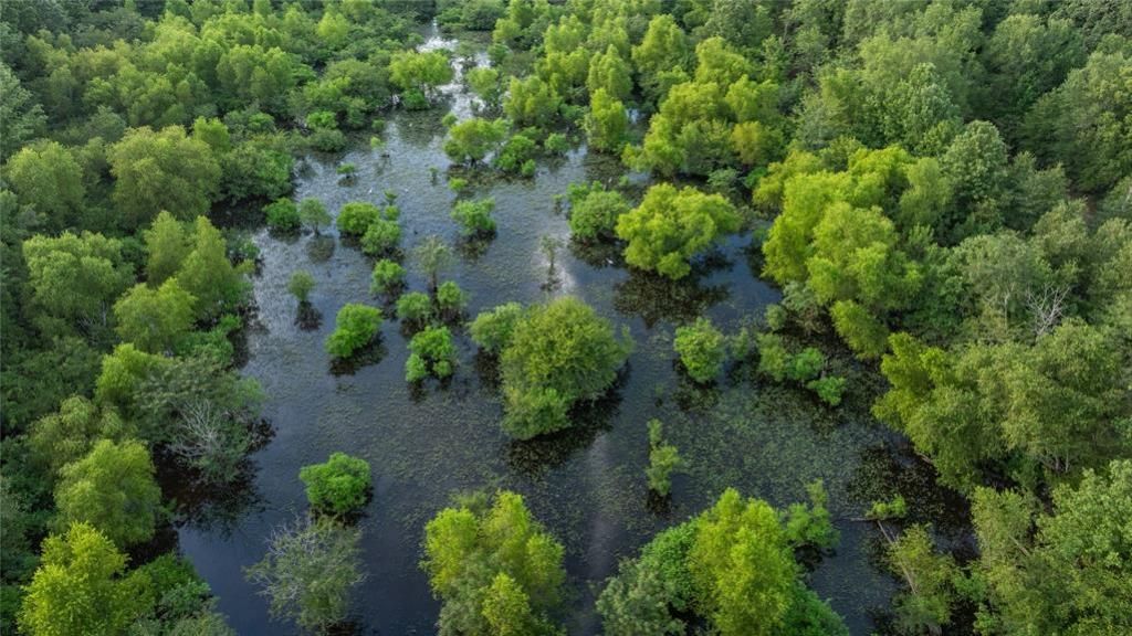 Hwy 80 Us Hwy 80, Big Sandy, TX 75755 Main Photo