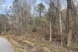 01 Bee Drive photo 4