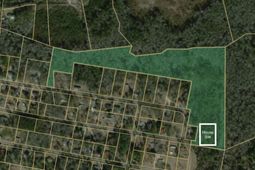 01 Bee Drive photo 4