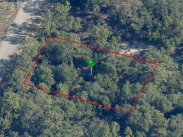 9541 N WALLACE WAY, CITRUS SPRINGS, FL 34433