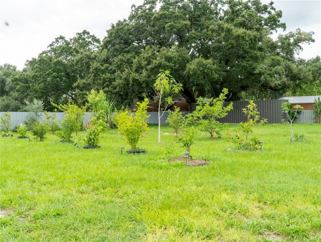 1817 Demastus Lane, Ocoee, FL 34761 Photo