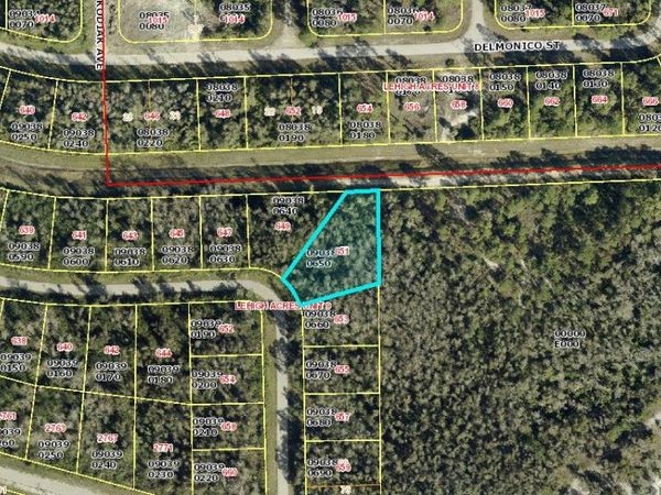 651 Lydia Street, Lehigh Acres, FL 33974