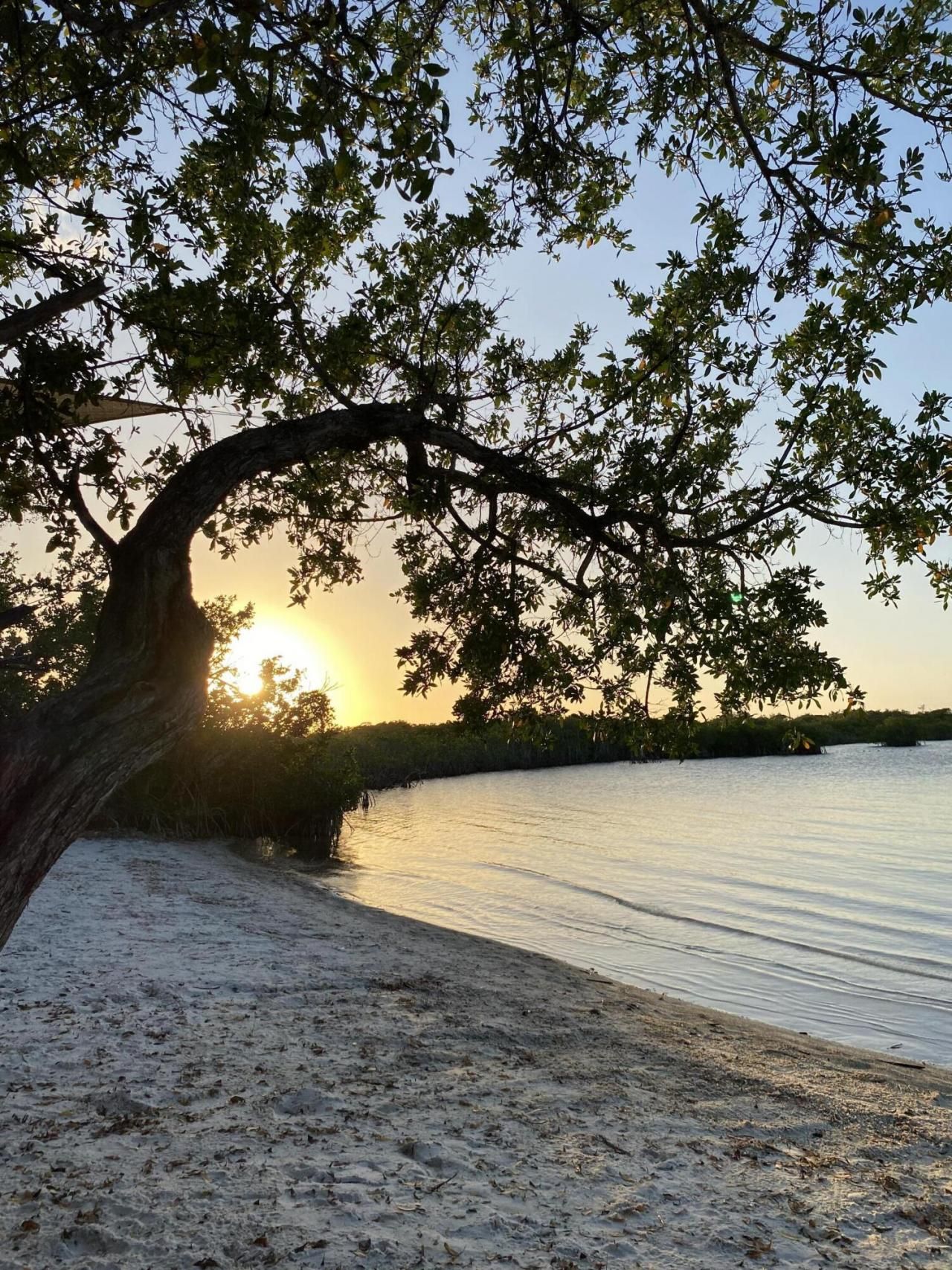 421 Mahogany Avenue, Key Largo, FL 33037 Photo