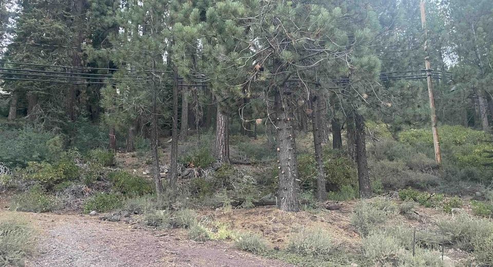 12552 Richards Boulevard, Truckee, CA 96161 Photo